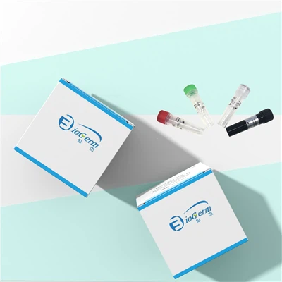 Komplet za detekciju virusa majmunskih boginja PCR-fluorescentna sonda